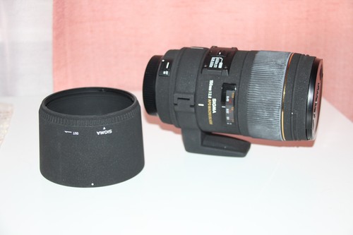 Sigma 150mm apo macro - f2.8,